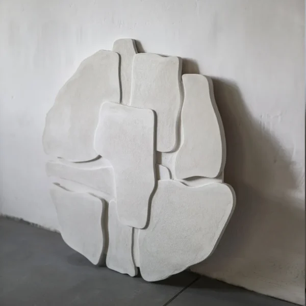 Organica ladnini sculptural wall art (3)